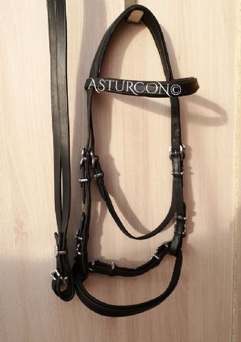 Simple Portuguese Bridle